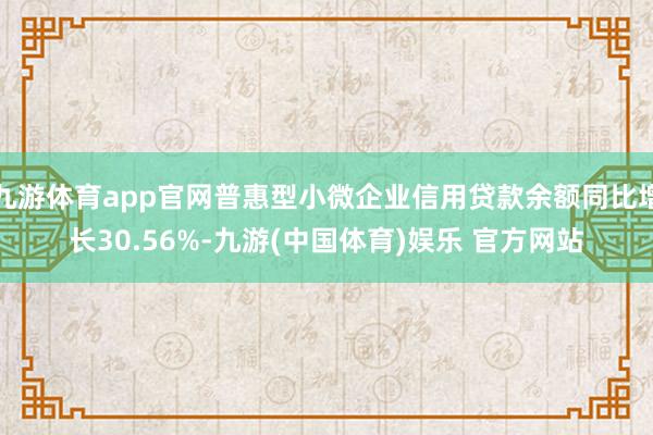 九游体育app官网普惠型小微企业信用贷款余额同比增长30.56%-九游(中国体育)娱乐 官方网站