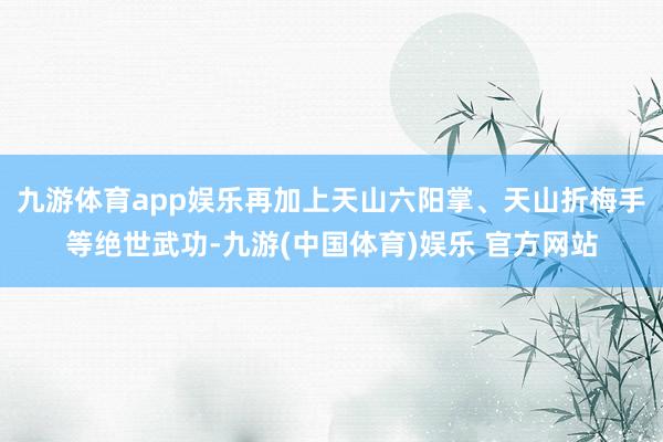 九游体育app娱乐再加上天山六阳掌、天山折梅手等绝世武功-九游(中国体育)娱乐 官方网站