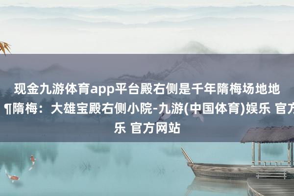 现金九游体育app平台殿右侧是千年隋梅场地地🔶隋梅:大雄宝殿右侧小院-九游(中国体育)娱乐 官方网站