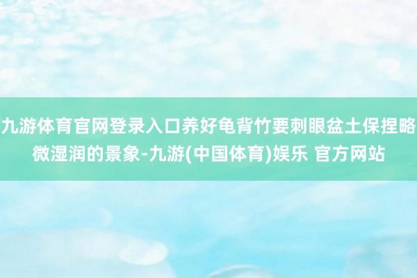 九游体育官网登录入口养好龟背竹要刺眼盆土保捏略微湿润的景象-
